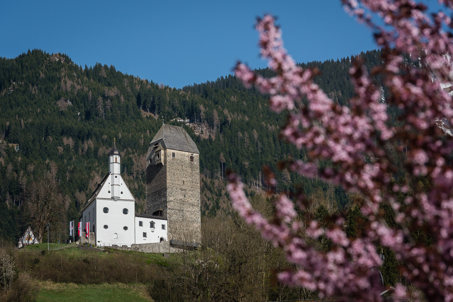 Burg%20Freundsberg%20im%20Sommer image Burg%20Freundsberg%20im%20Sommer Uncategorised